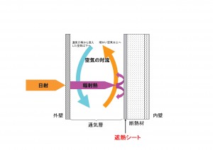 湘南　ワイズ