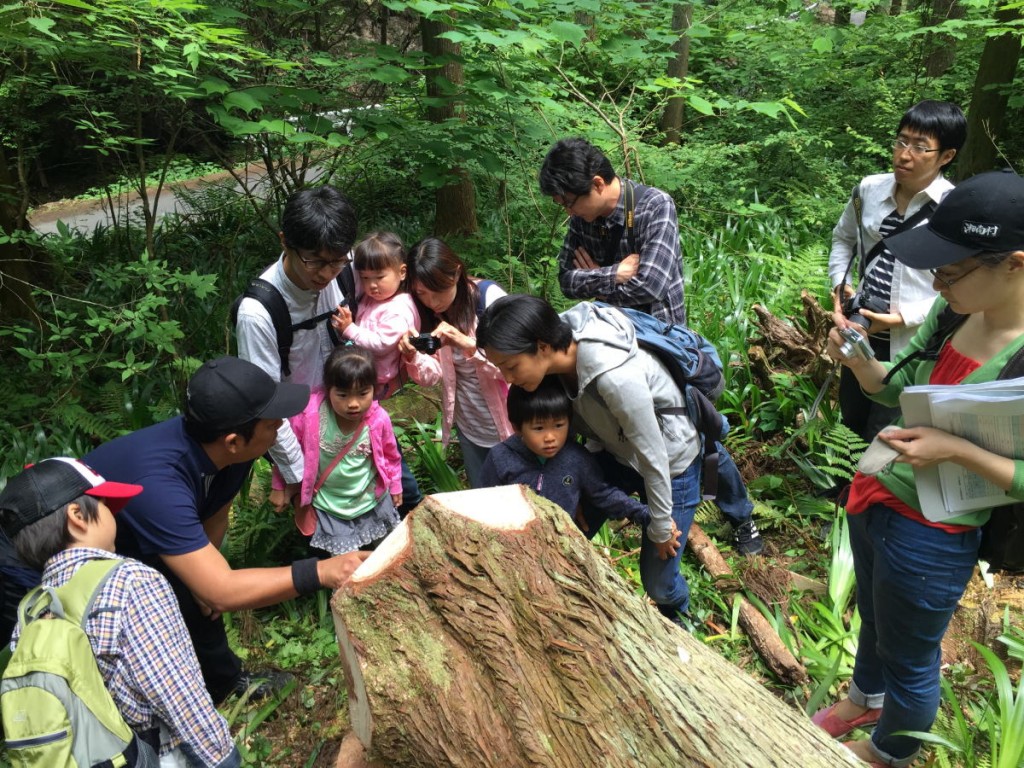 ワイズ　建築　自然素材　西川材　伐採