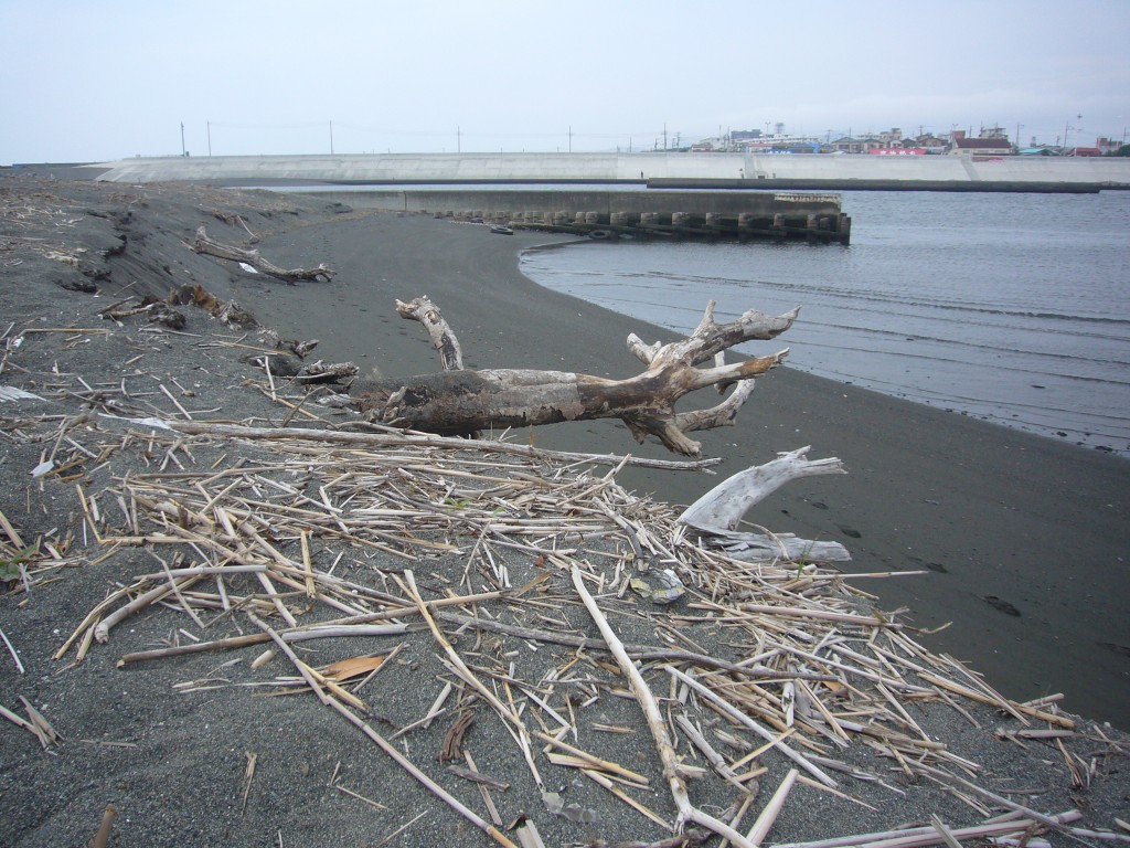 湘南村　流木　海　川