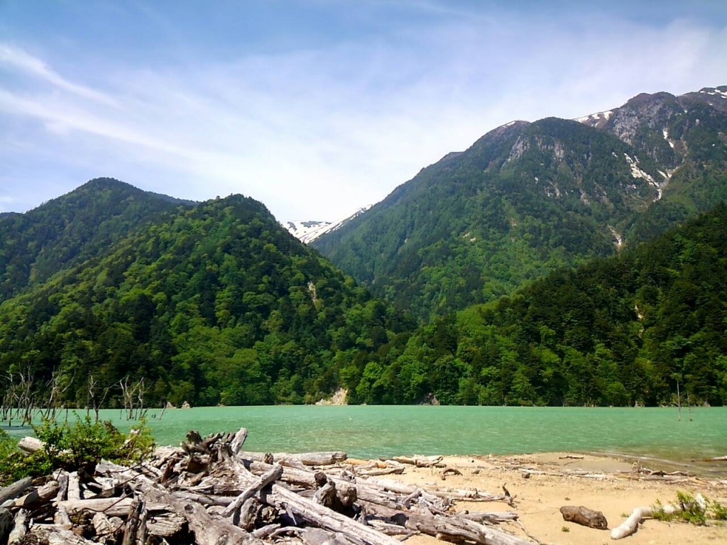 湘南村　流木　山　川　ぼくりゅう亭